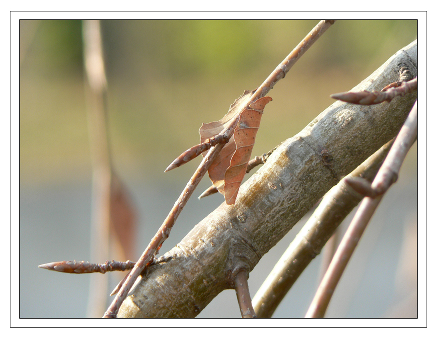 La vita dopo la morte