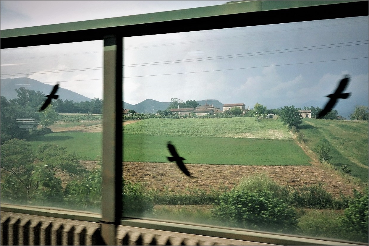 Fugaci visioni  img.039