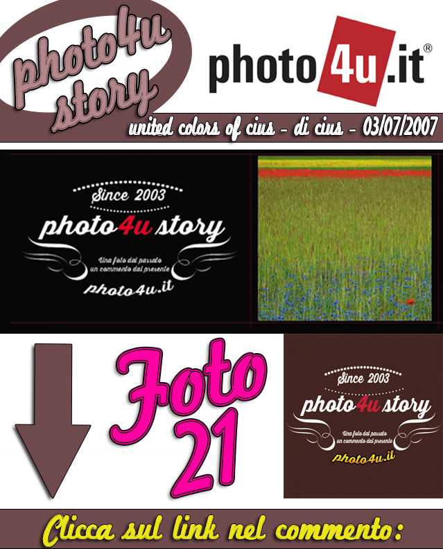 photo4ustory - foto 21