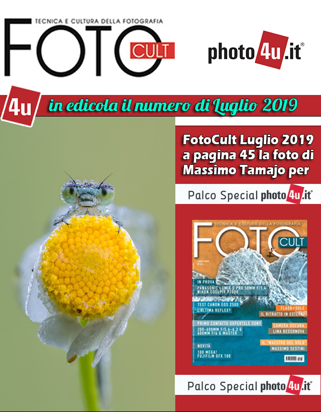 FotoCult Luglio 2019
