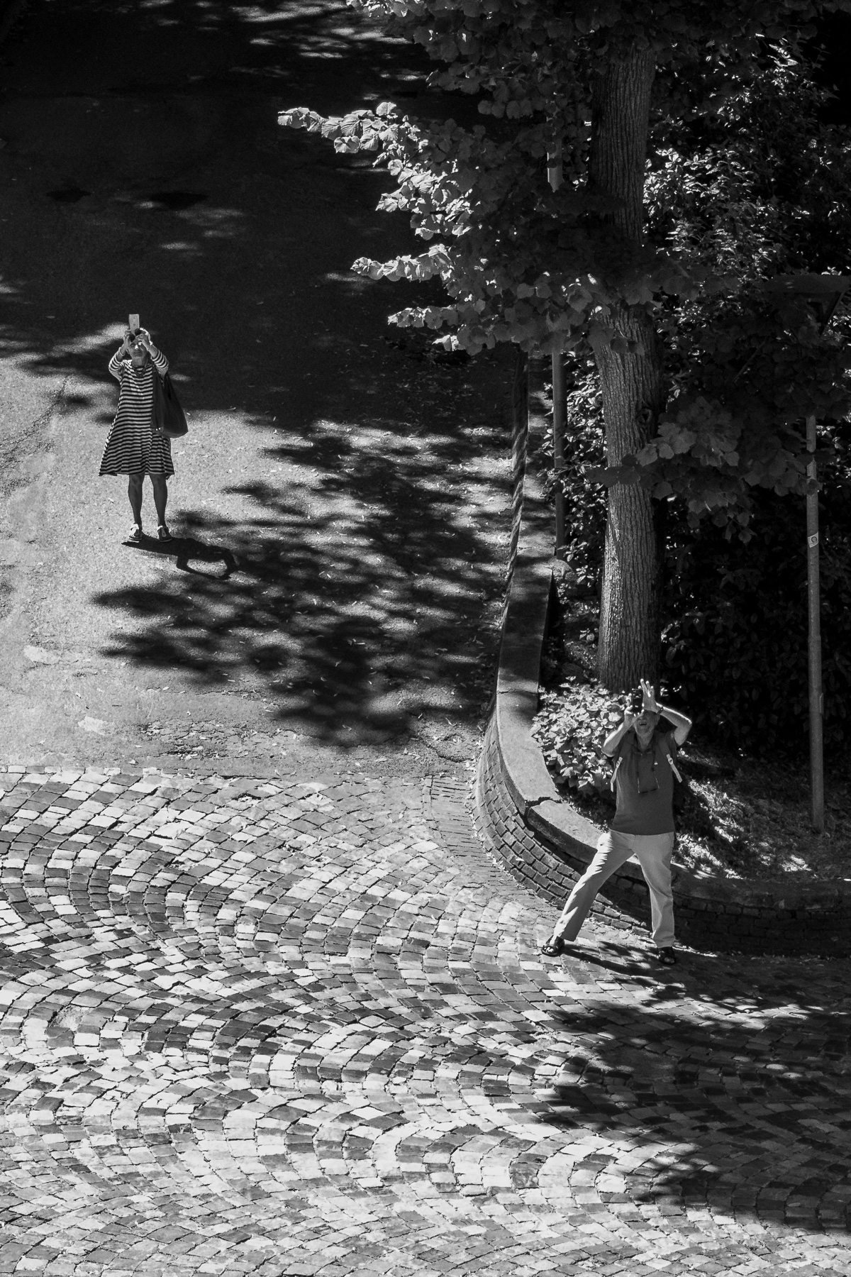 Urbino - Palazzo Ducale - 2019