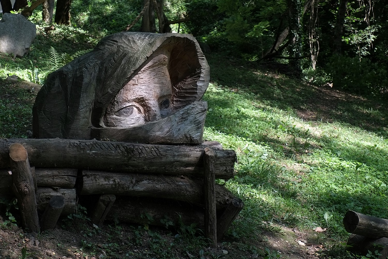 Lo sguardo del bosco