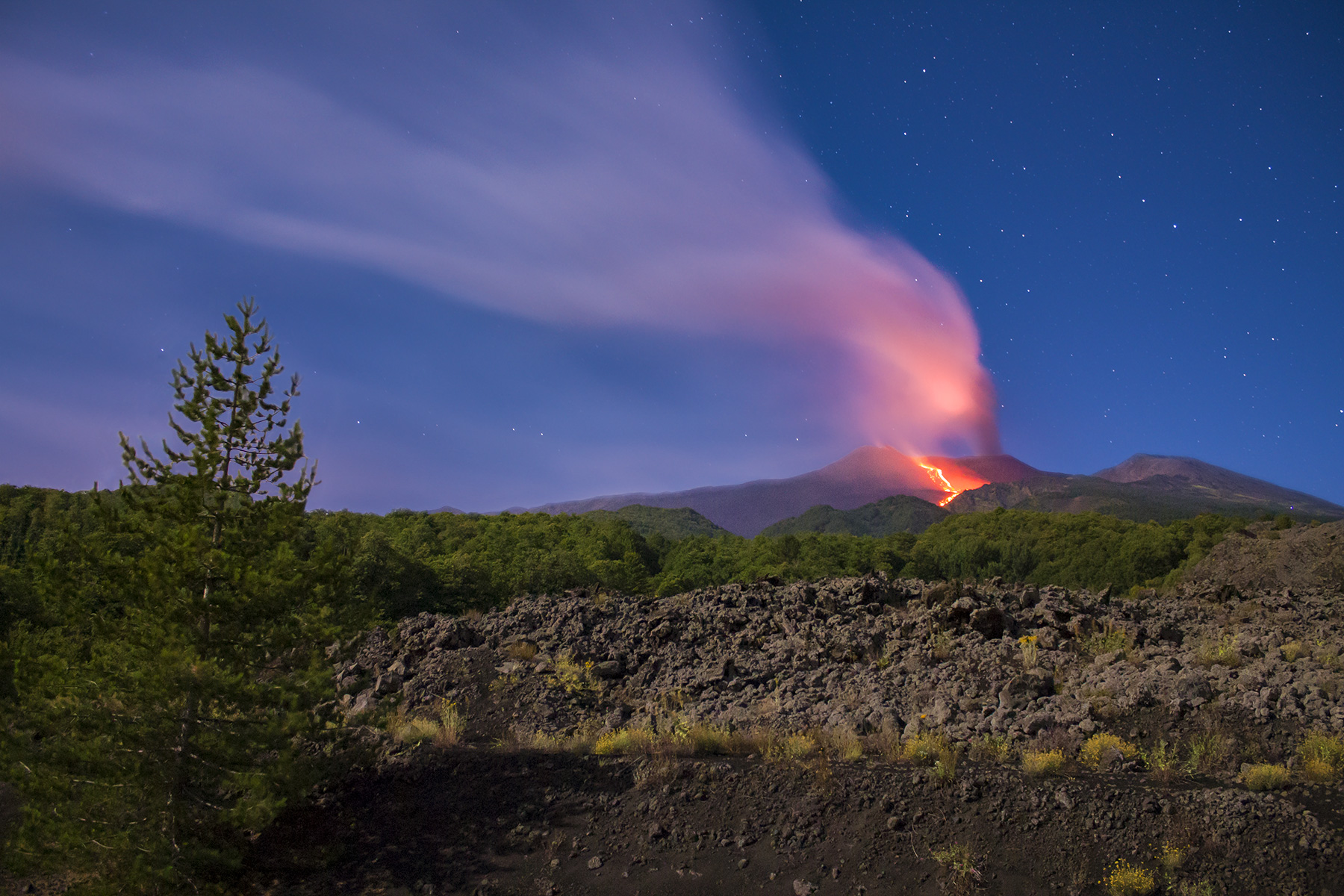 Il sovrano dell'isola
