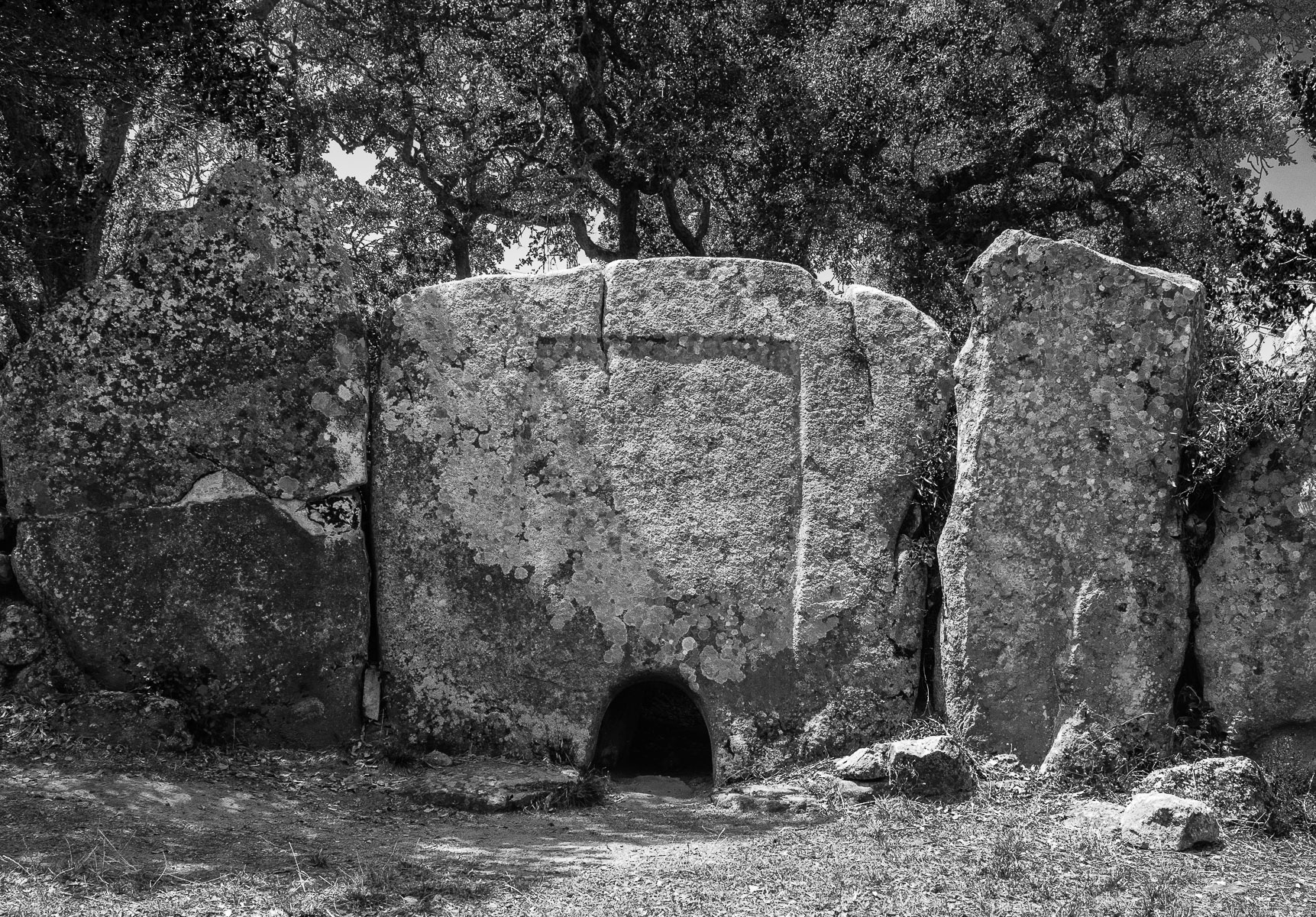 Tomba dei Giganti di Pascaredda (particolare)