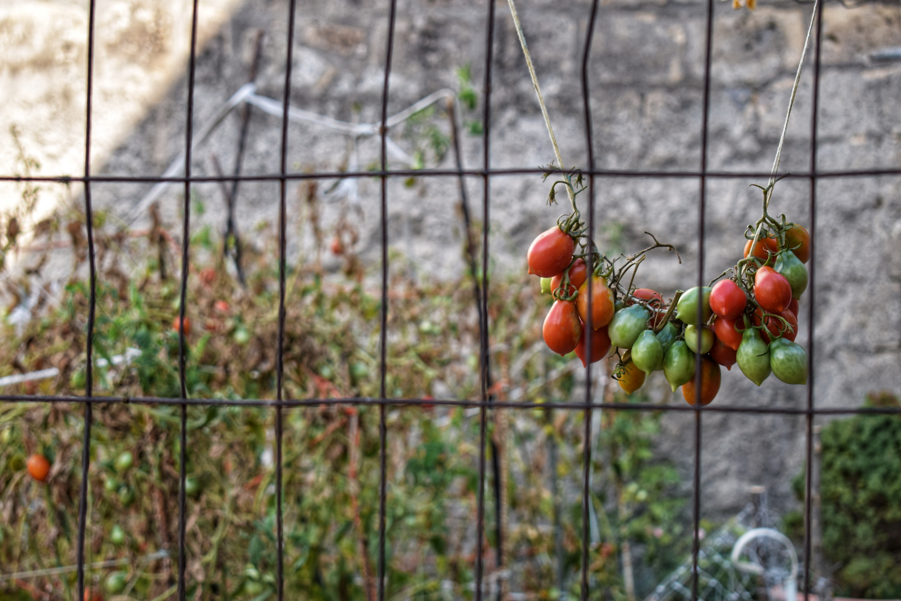 il filo del discorso