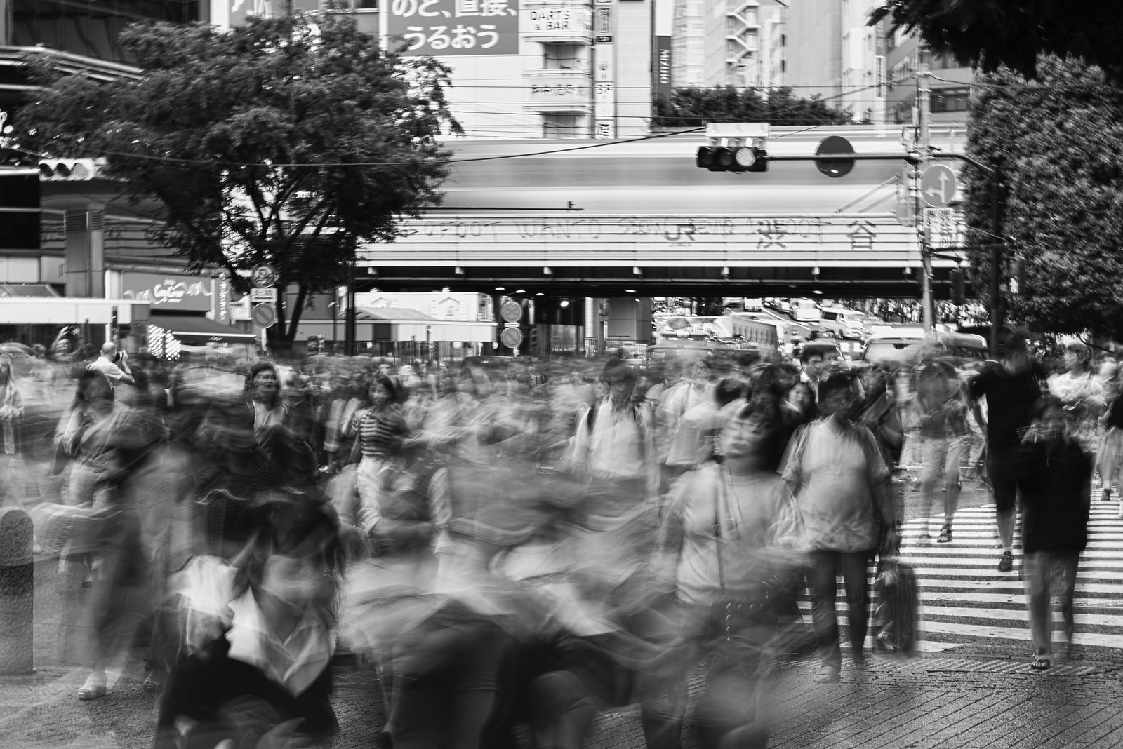 Tokyo - Shibuya Crossing