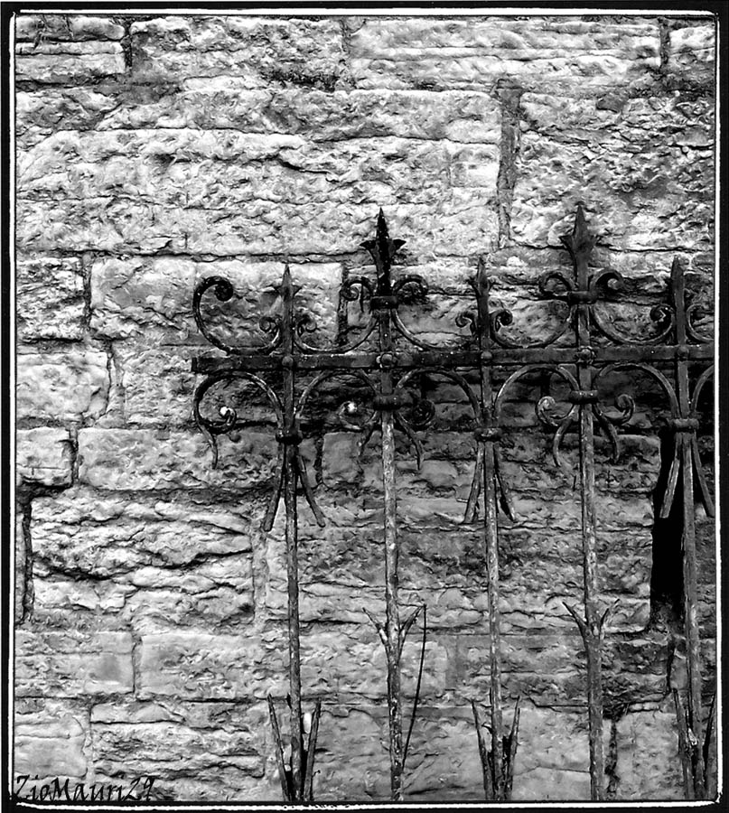 ..Linee..Ferro..