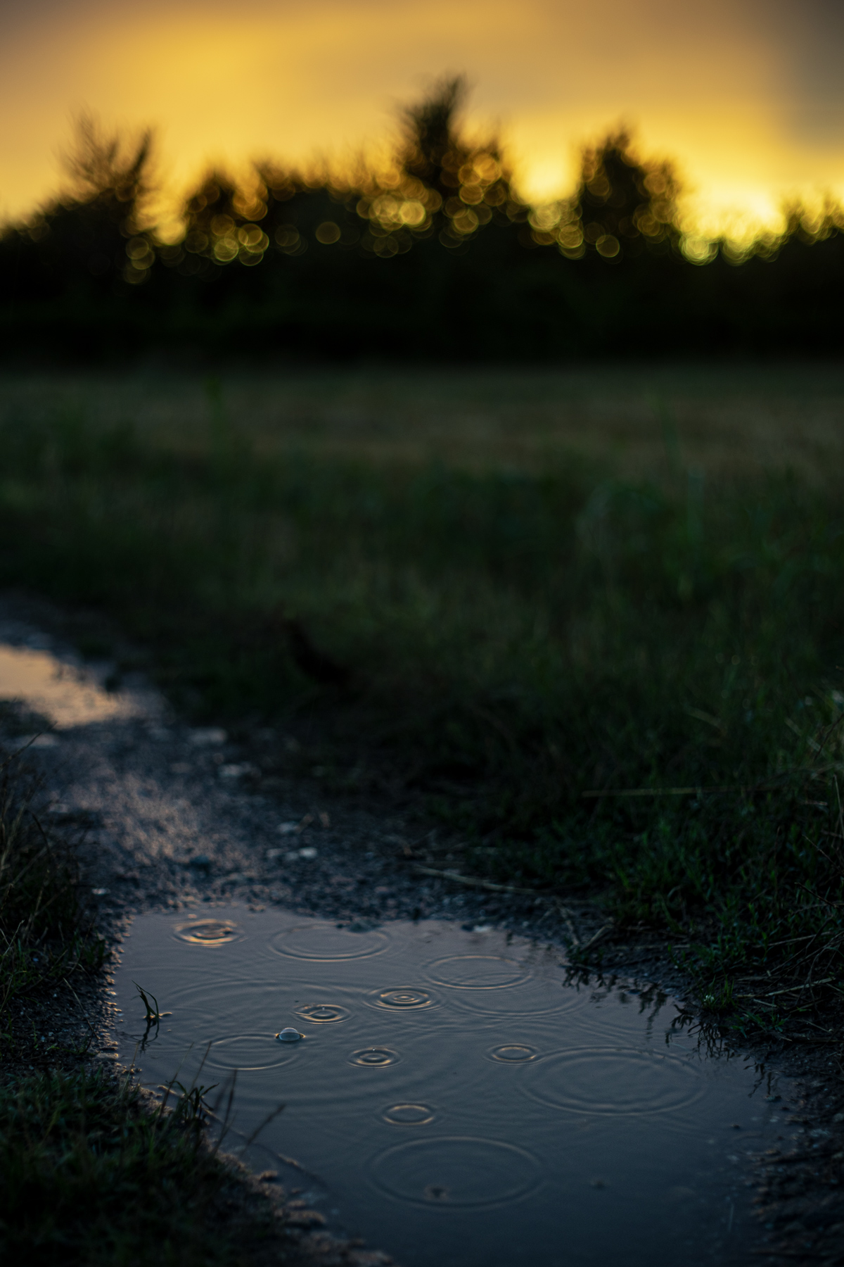 L'estate sta finendo