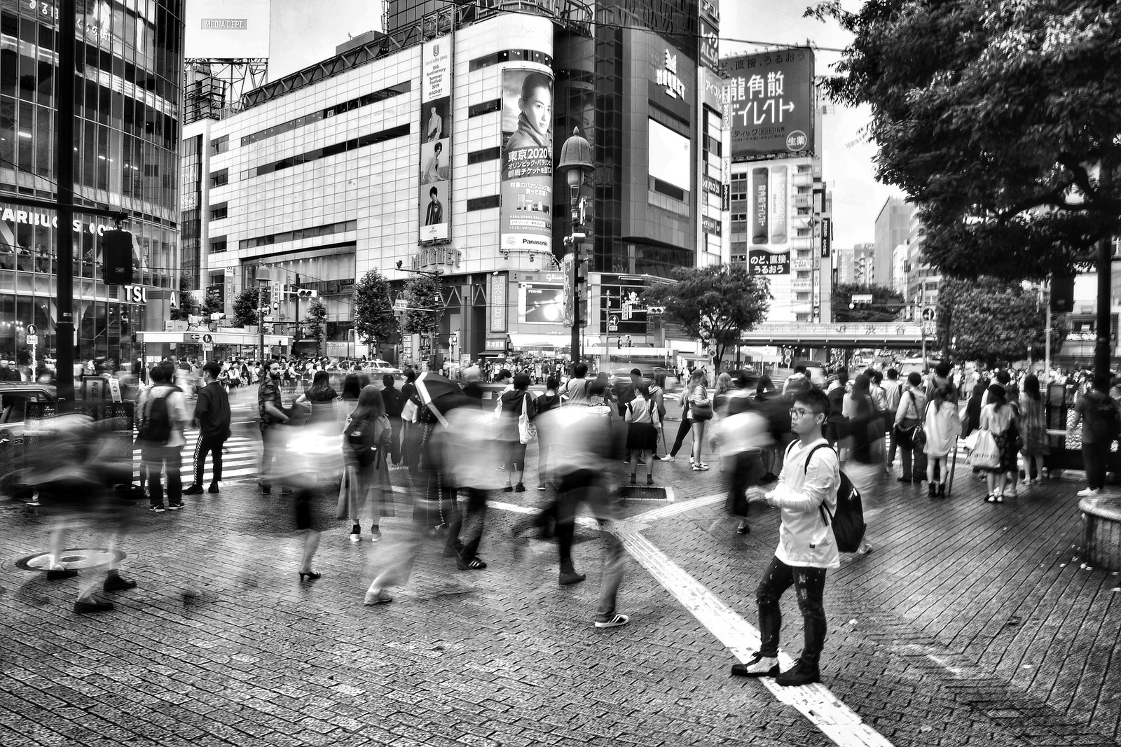 Tokyo - Shibuya Crossing #3