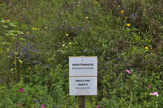 Un posto straordinario