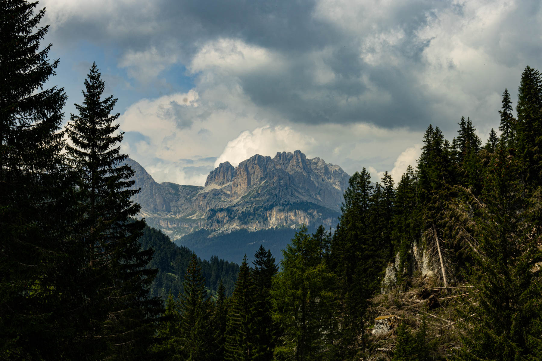 Dolomiti