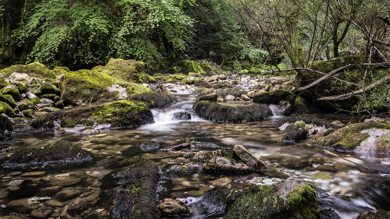 Il piccolo torrente..