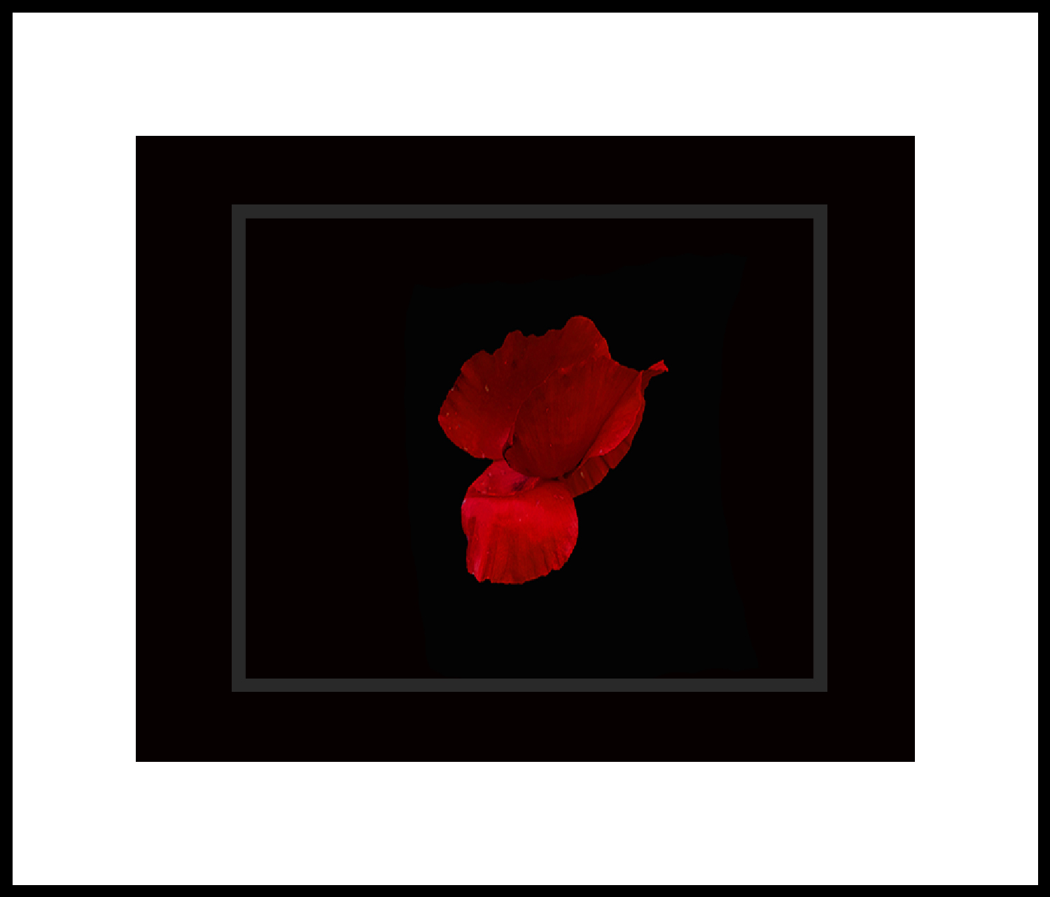 ....ludografia...p.s.