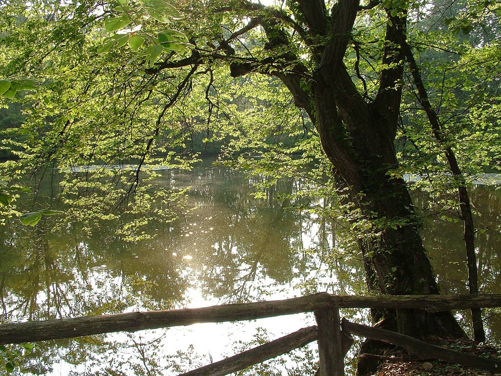 Parco del castello di Agli�