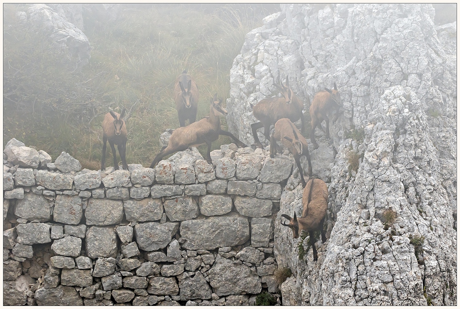 Nebbia a quota 1970 slm