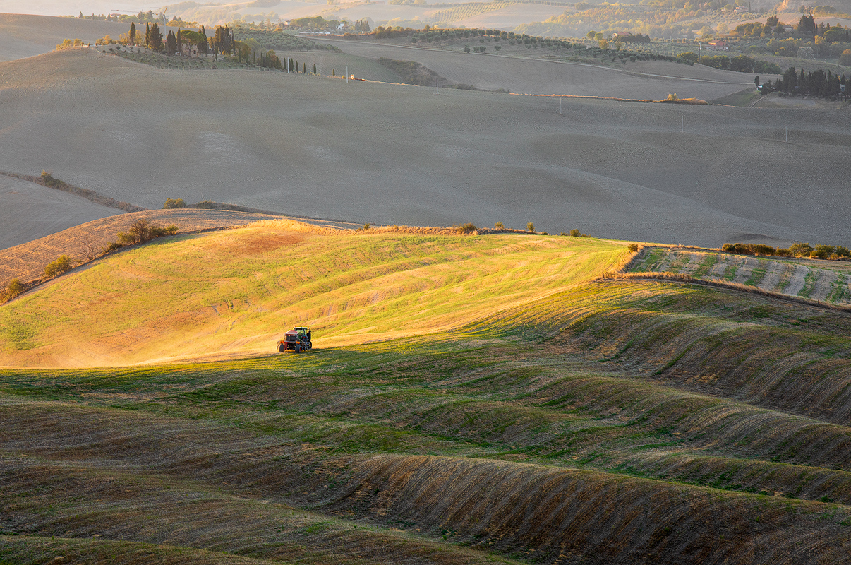 Working in the fields
