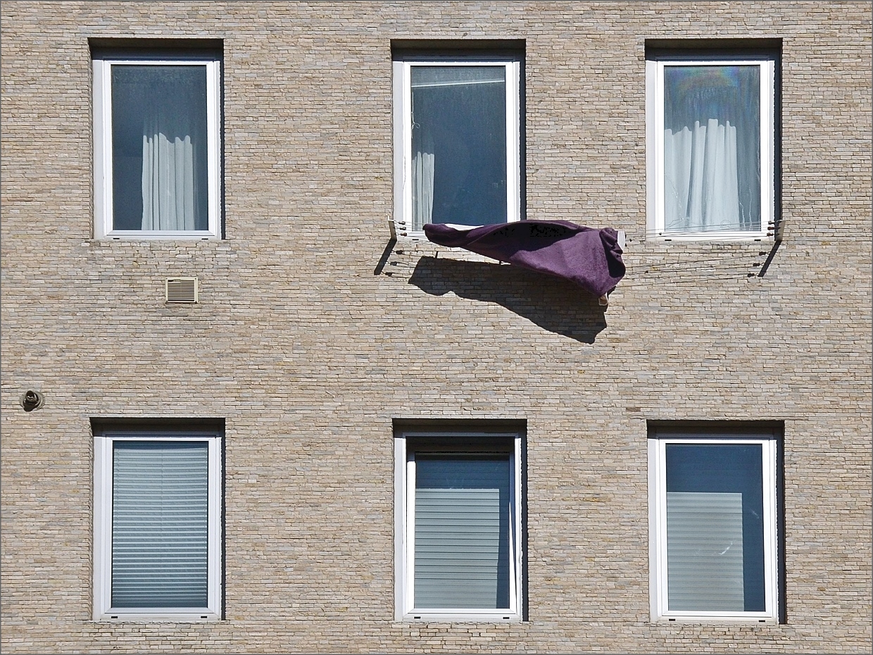Il colore viola