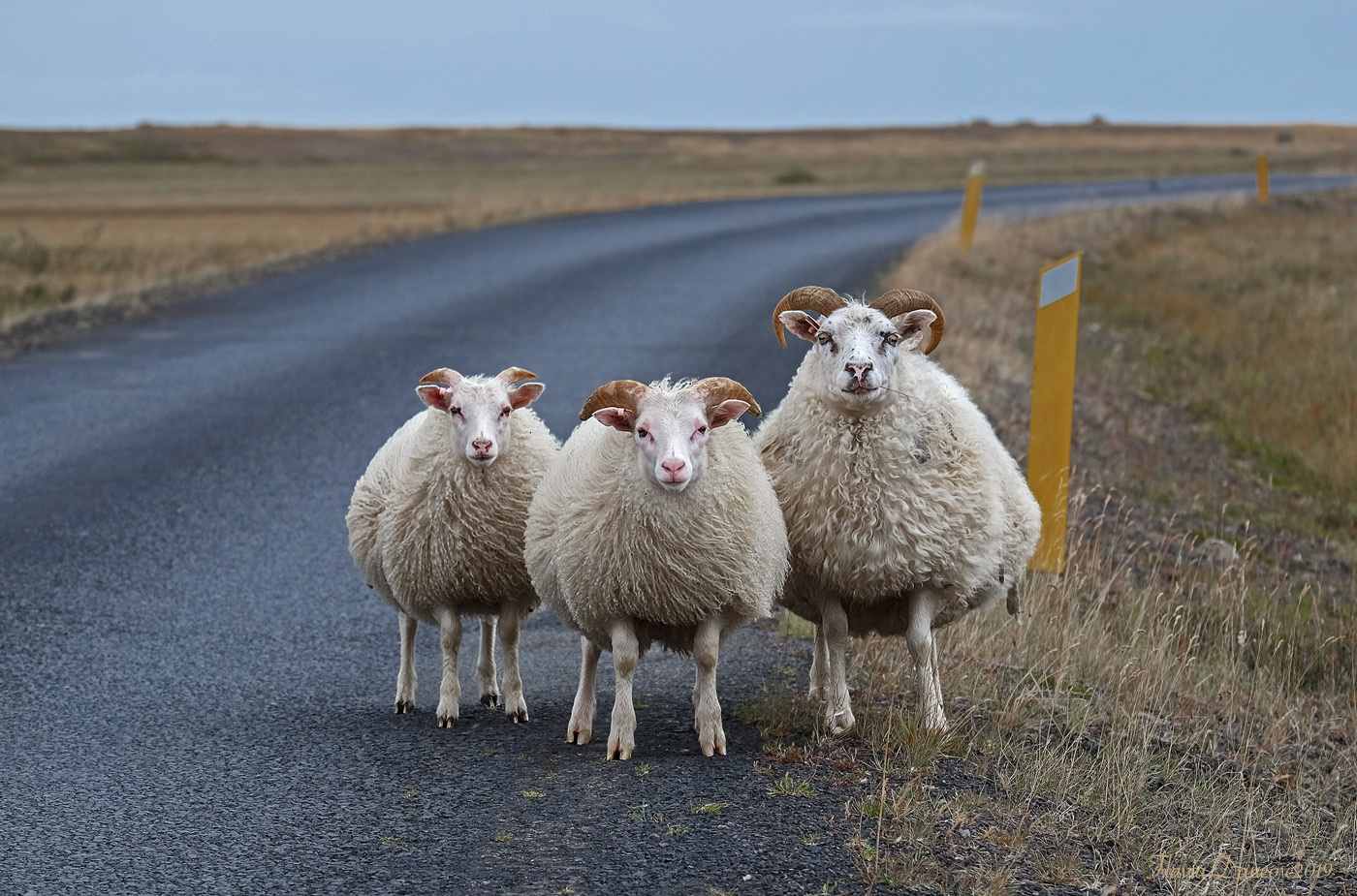 Ritratto di famiglia