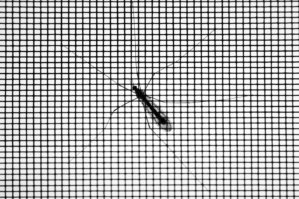 zzzZZZZZZzzzzzzzzZZZZ ZzAaNZAraaaAA fAsTiidDdiiossAA