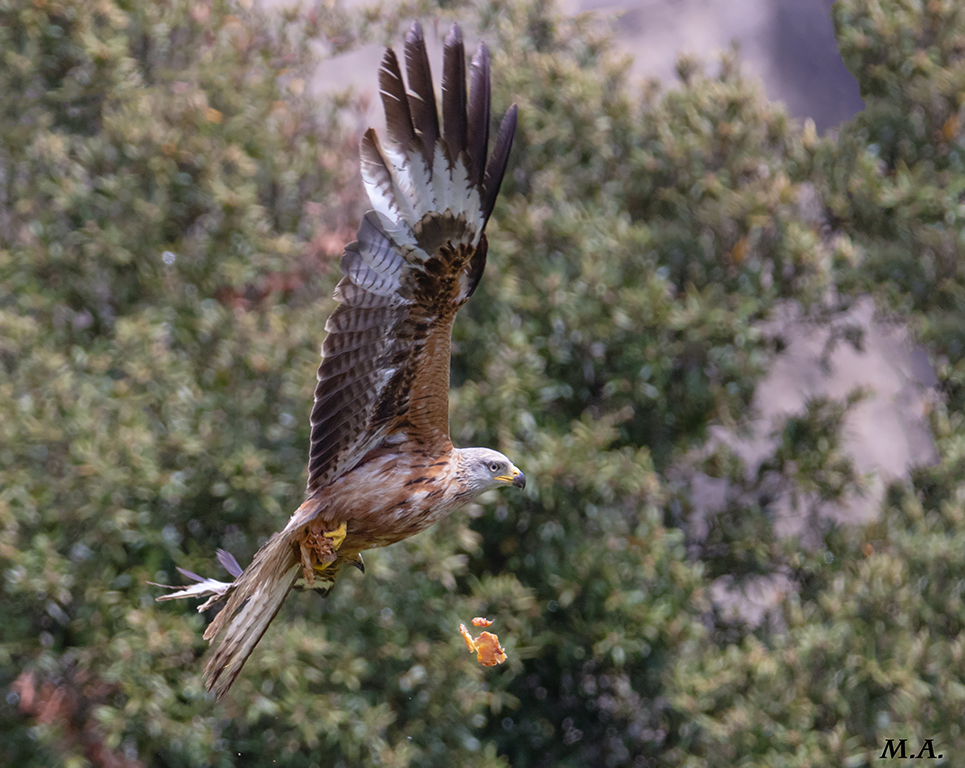 Con le mani nella marmellata...