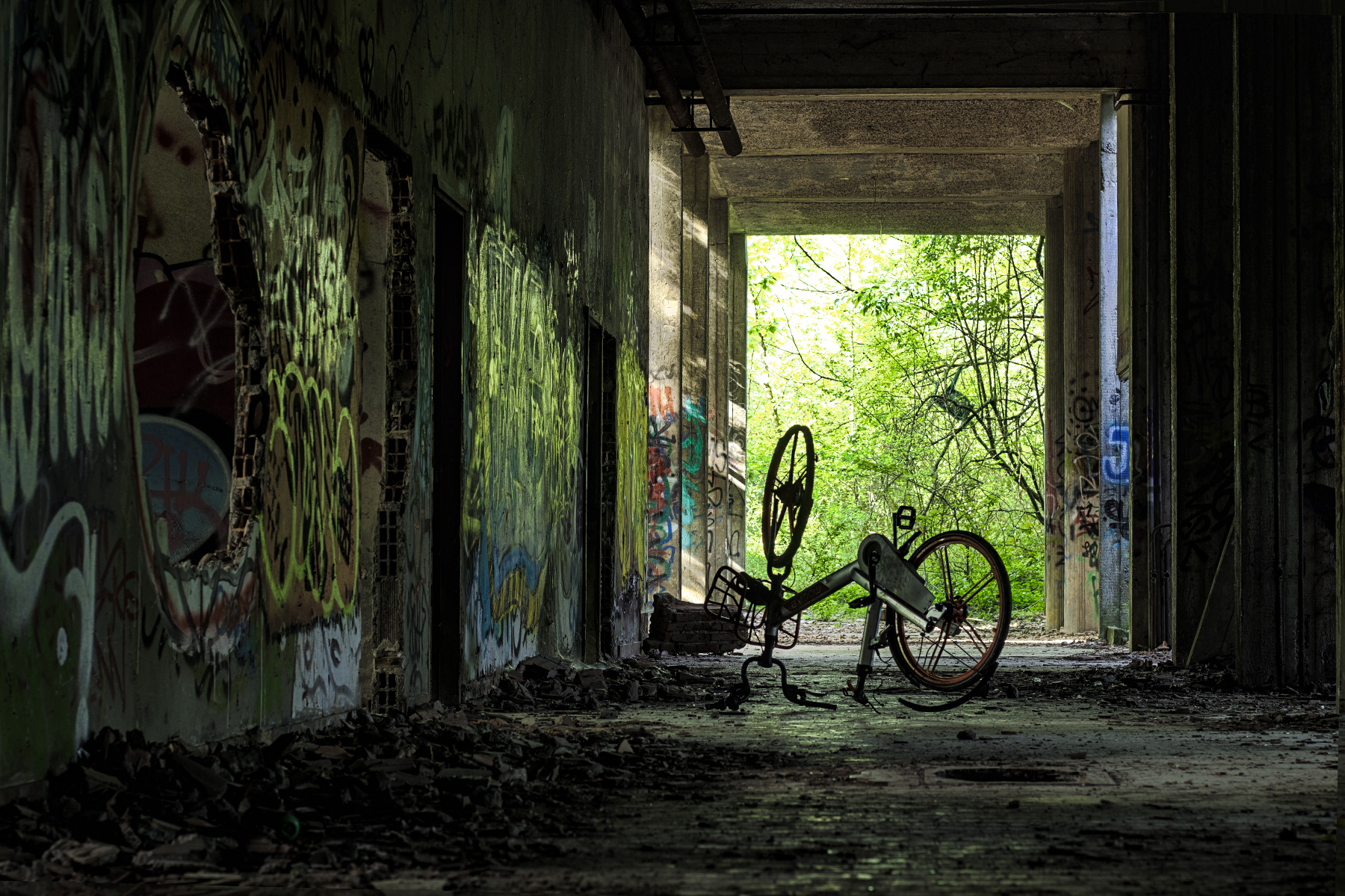 Dentro il mostro di Casalecchio
