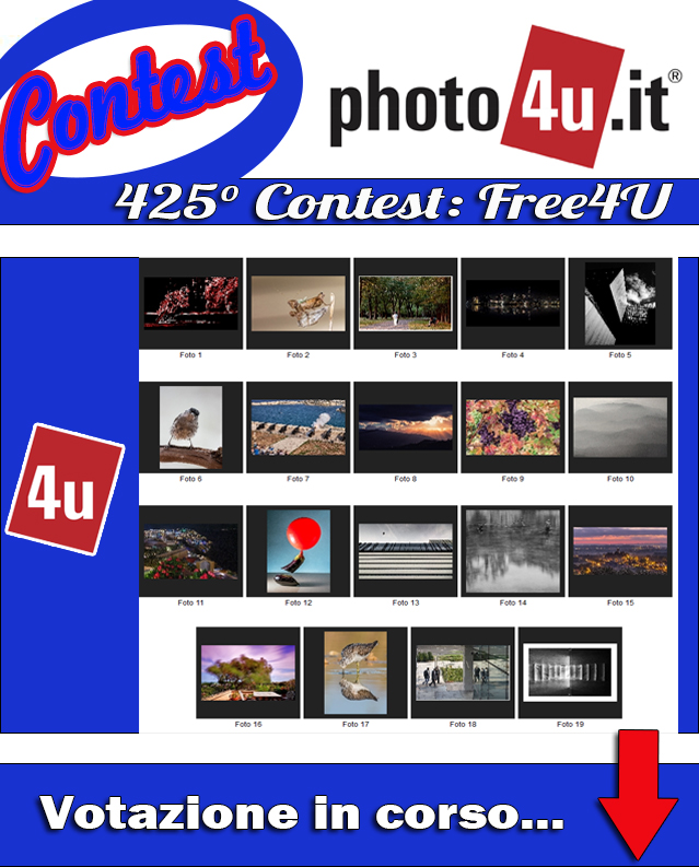 Contest n� 425 Free4U - Votazione in corso...