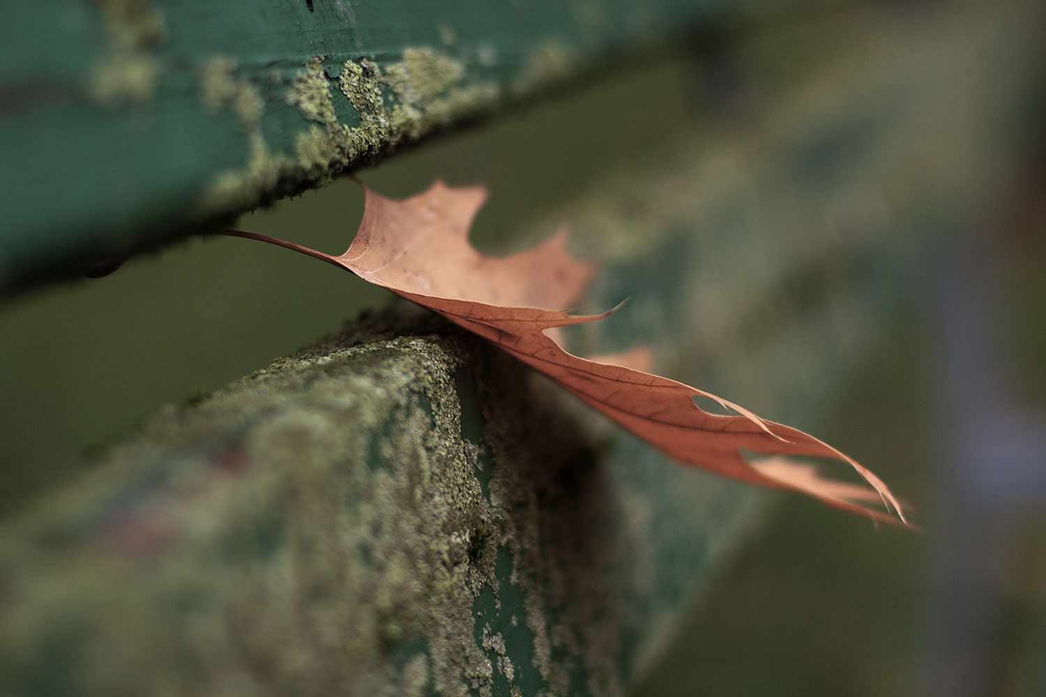 Critica al buio - Foto 002