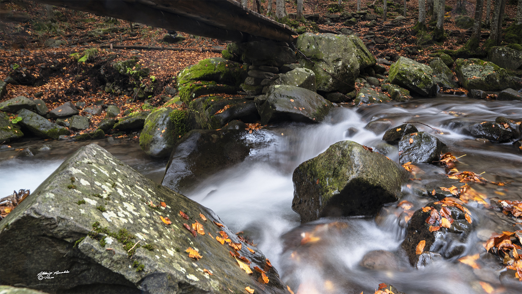 Torrente ed i colori autunnali.