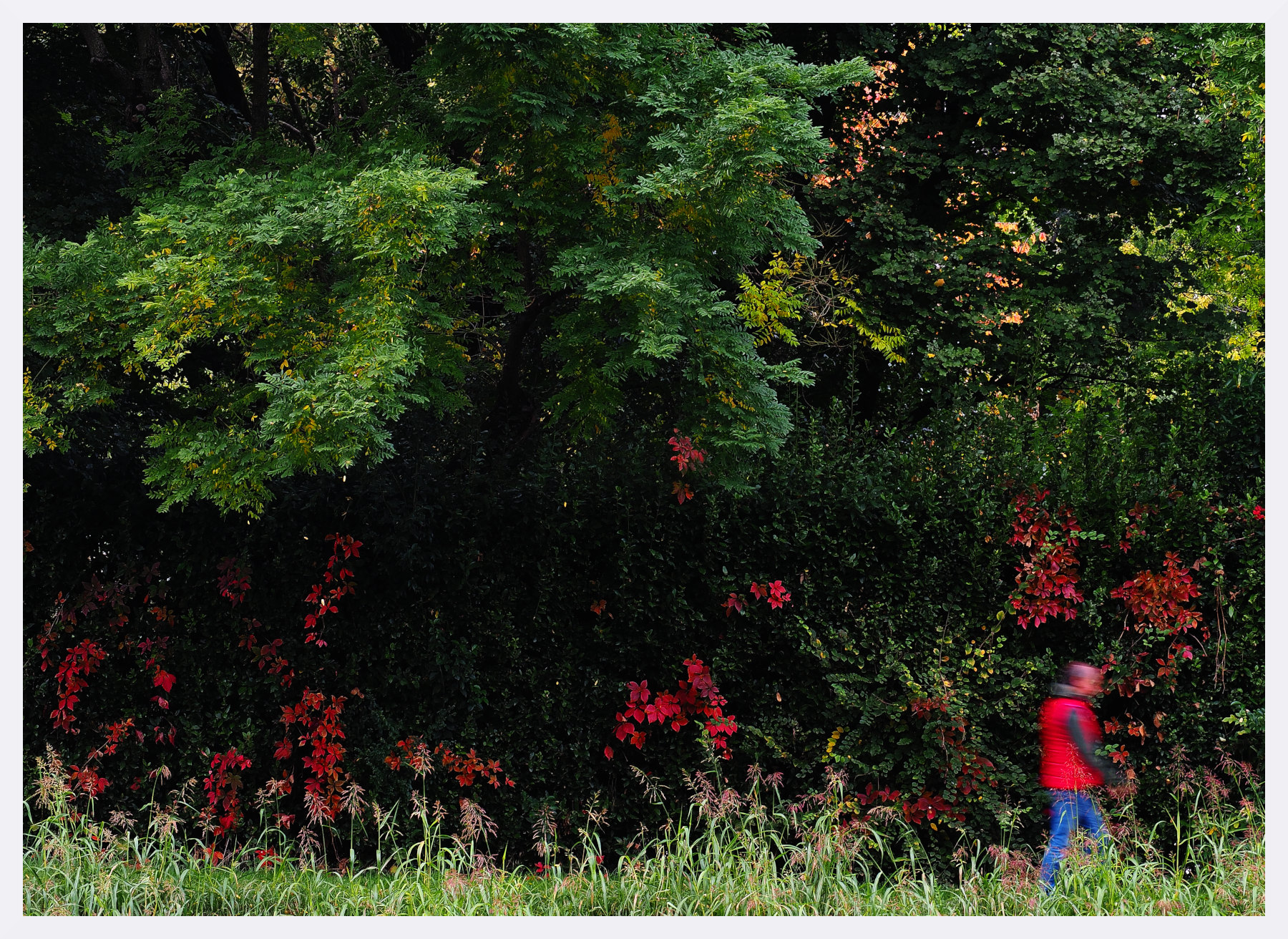 Passante nell'autunno