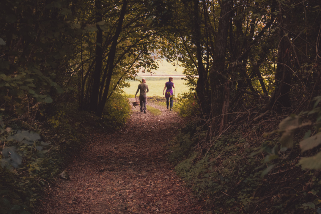 Attivit� autunnali....