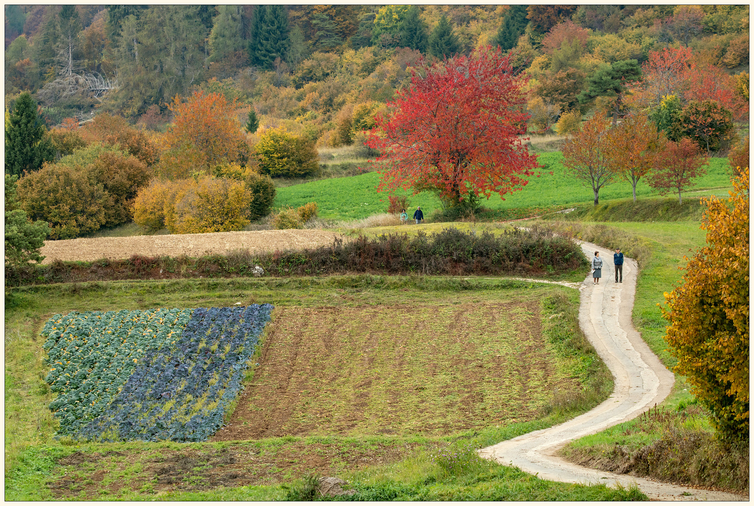 Passeggiata autunnale.