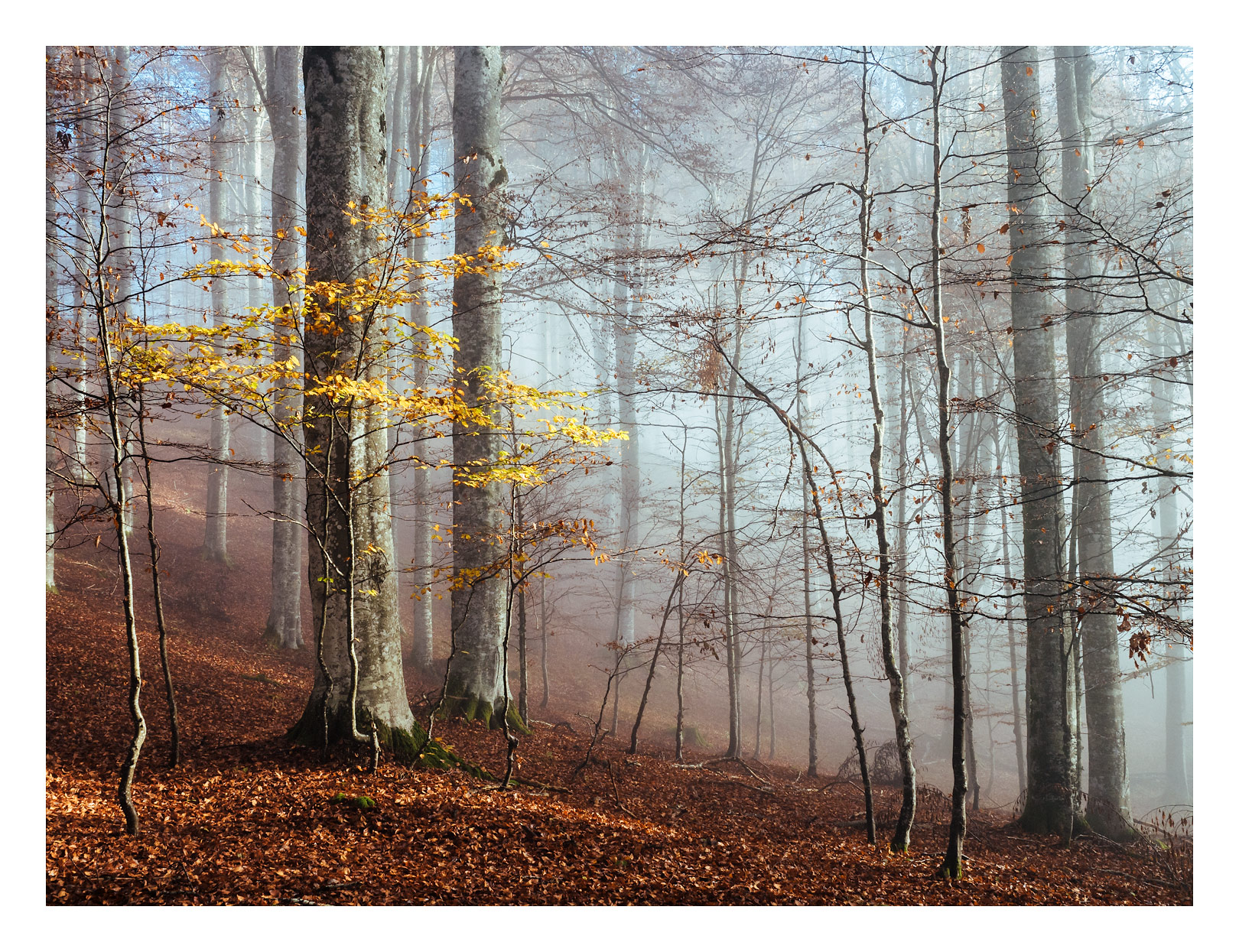 Ultimi raggi di sole