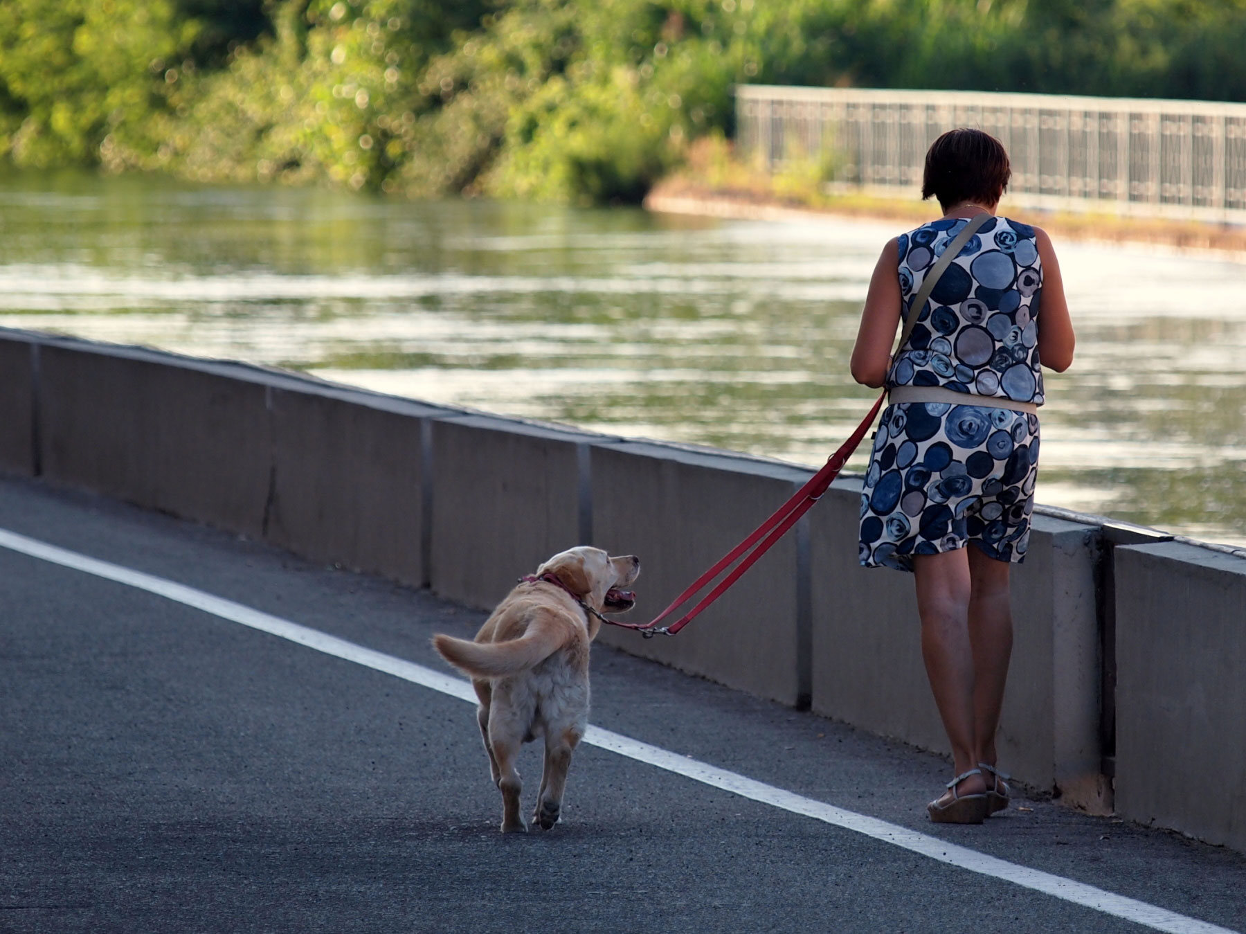 Critica al buio - Foto 014
