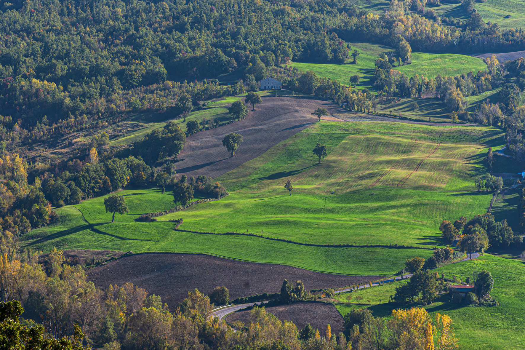 Paesaggio di collina