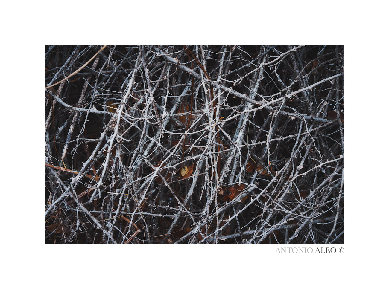 In profondit� di un'anima sofferente