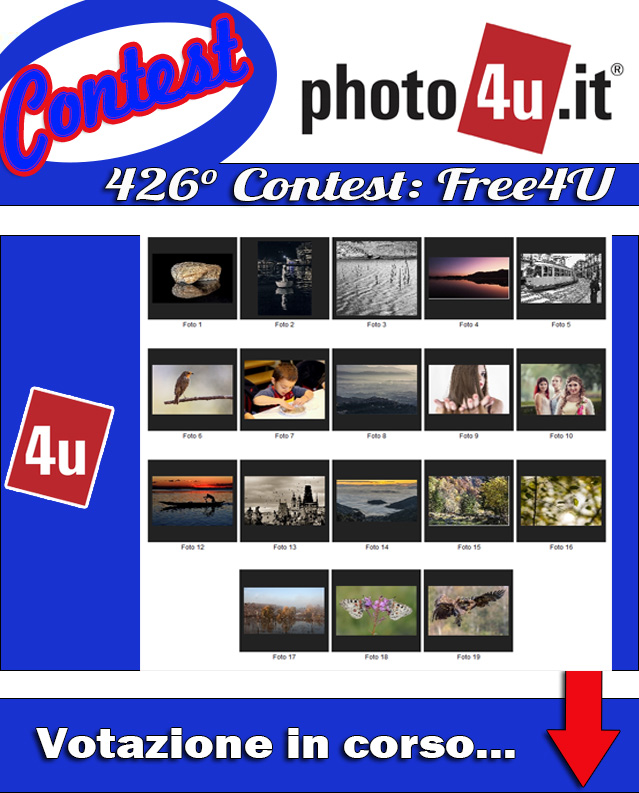 Contest n� 426 Free4U - Votazione in corso...
