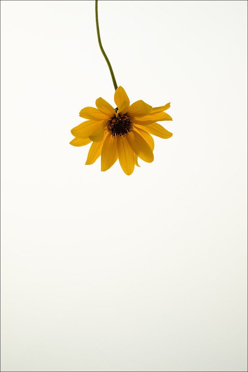 Critica al buio - Foto 023