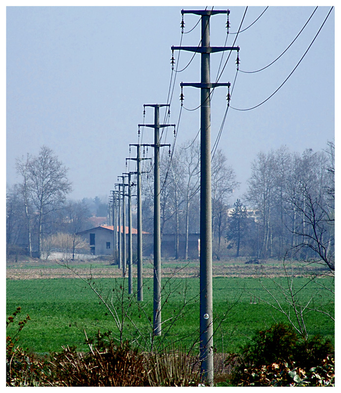 .........Per una spina in piu'......