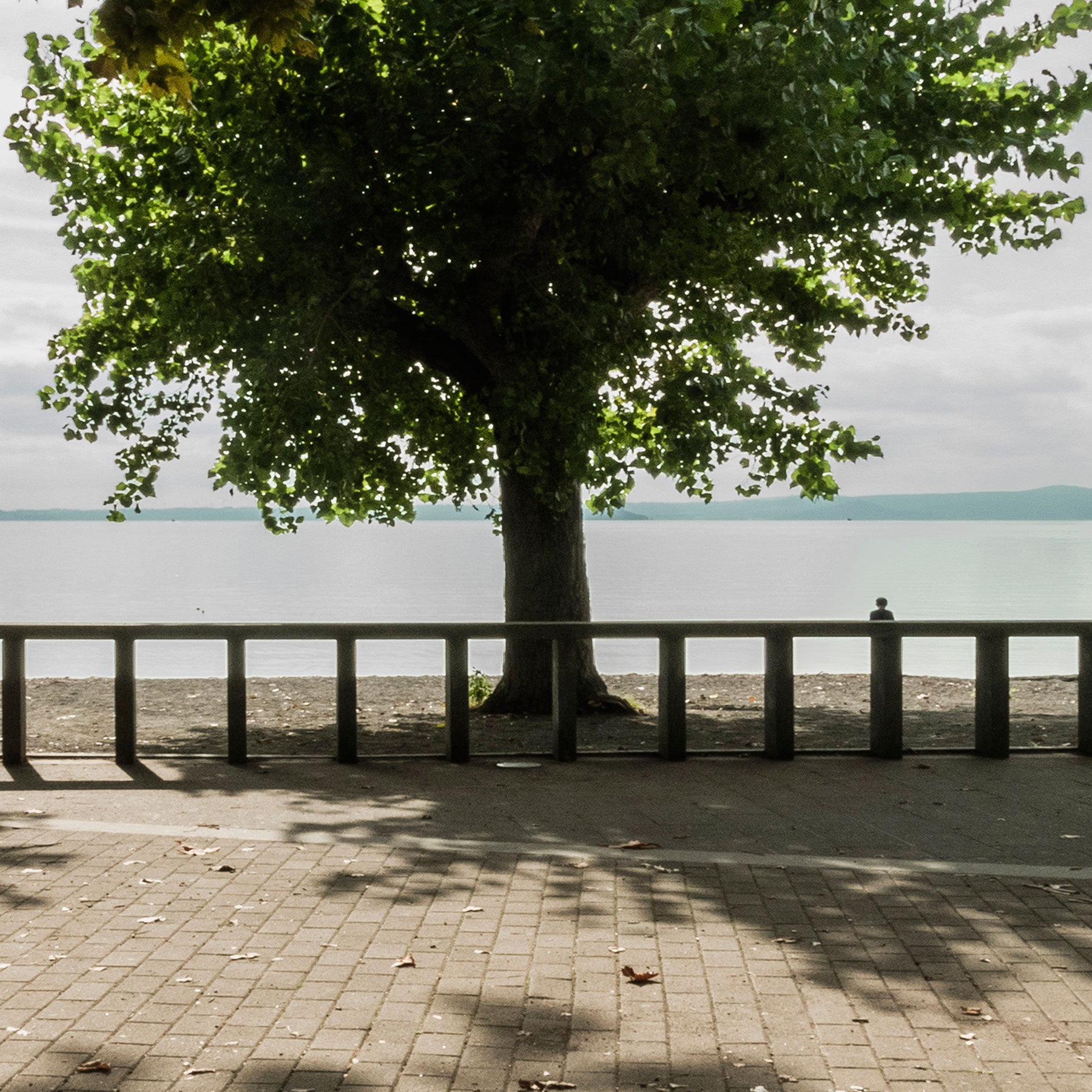 Critica al buio - Foto 026