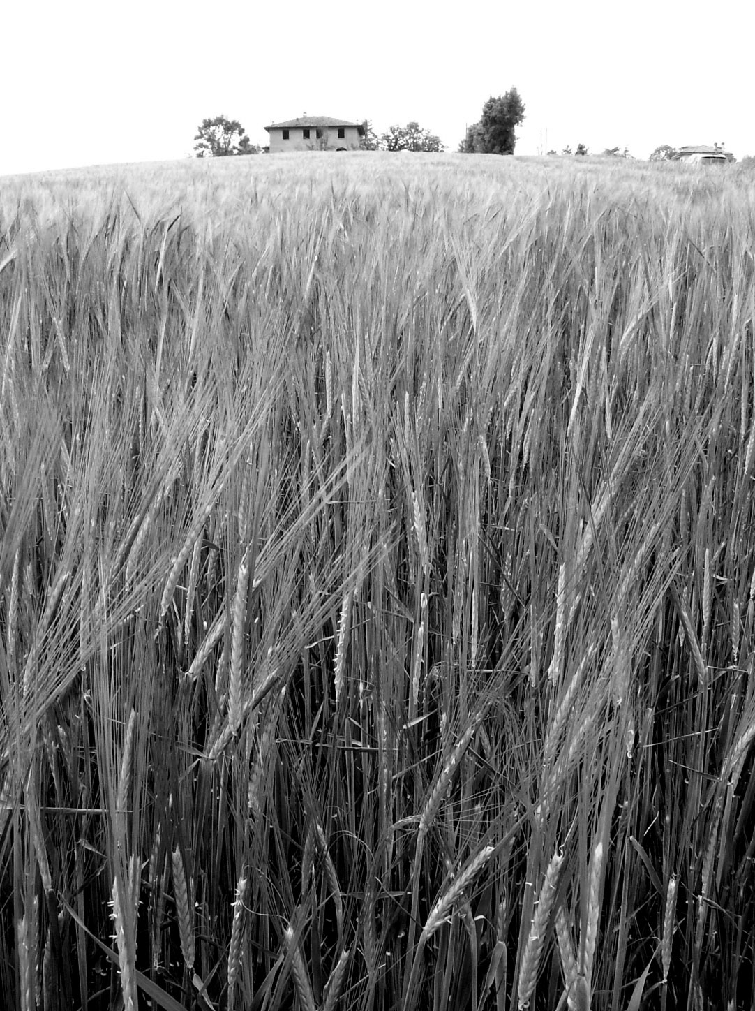 Critica al buio - Foto 027