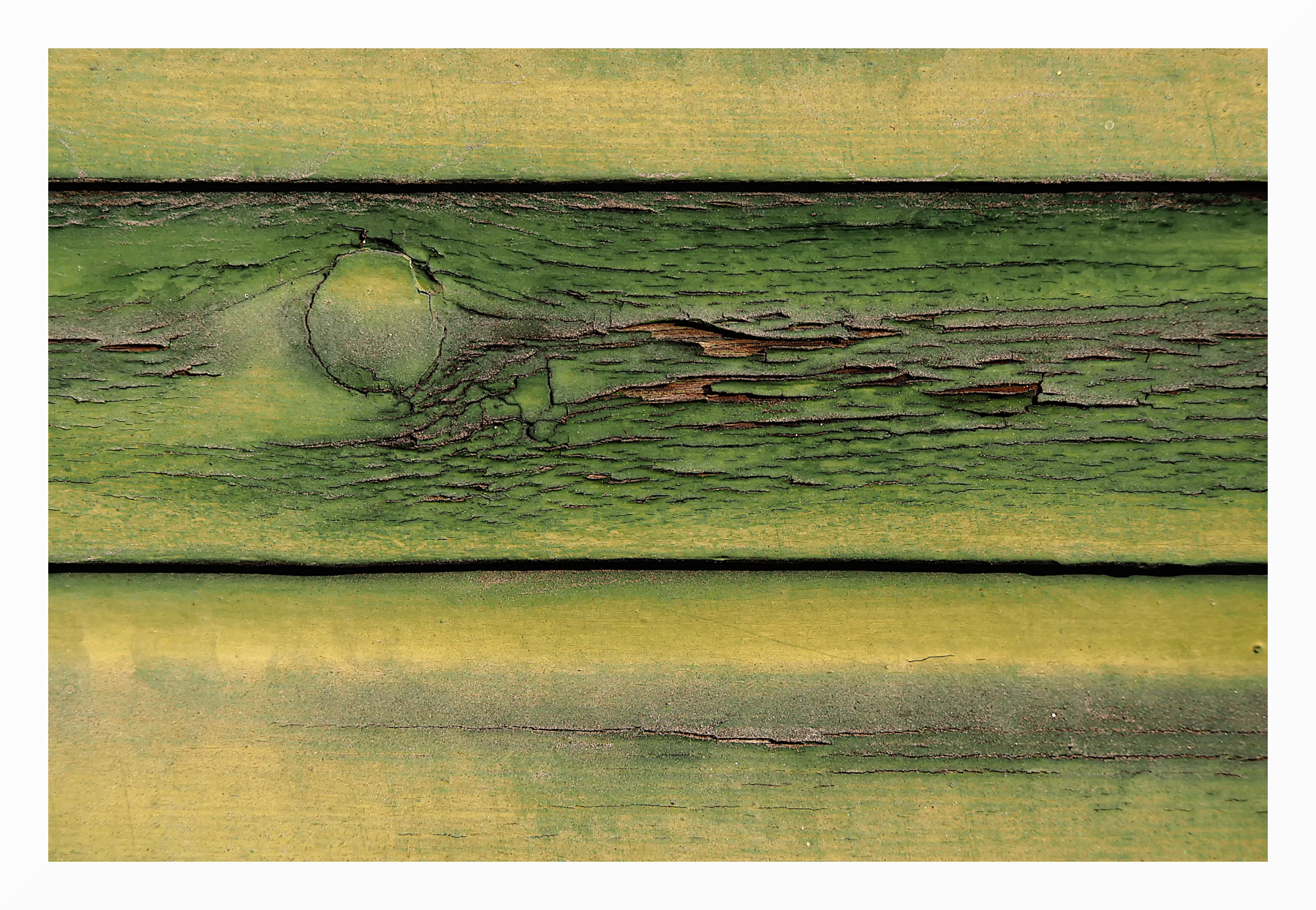 Particolare di tapparella verde