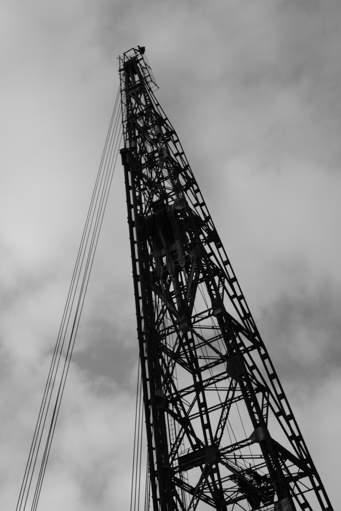 Il braccio di Ursus, Trieste