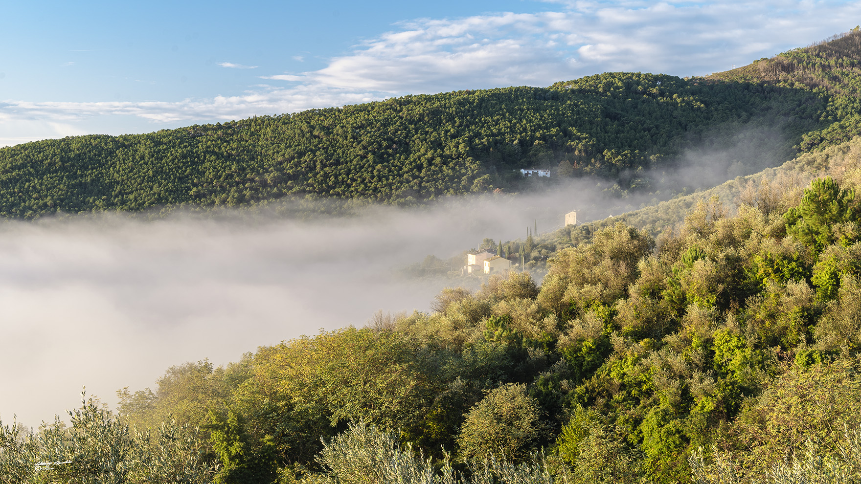 La nebbia che sale..