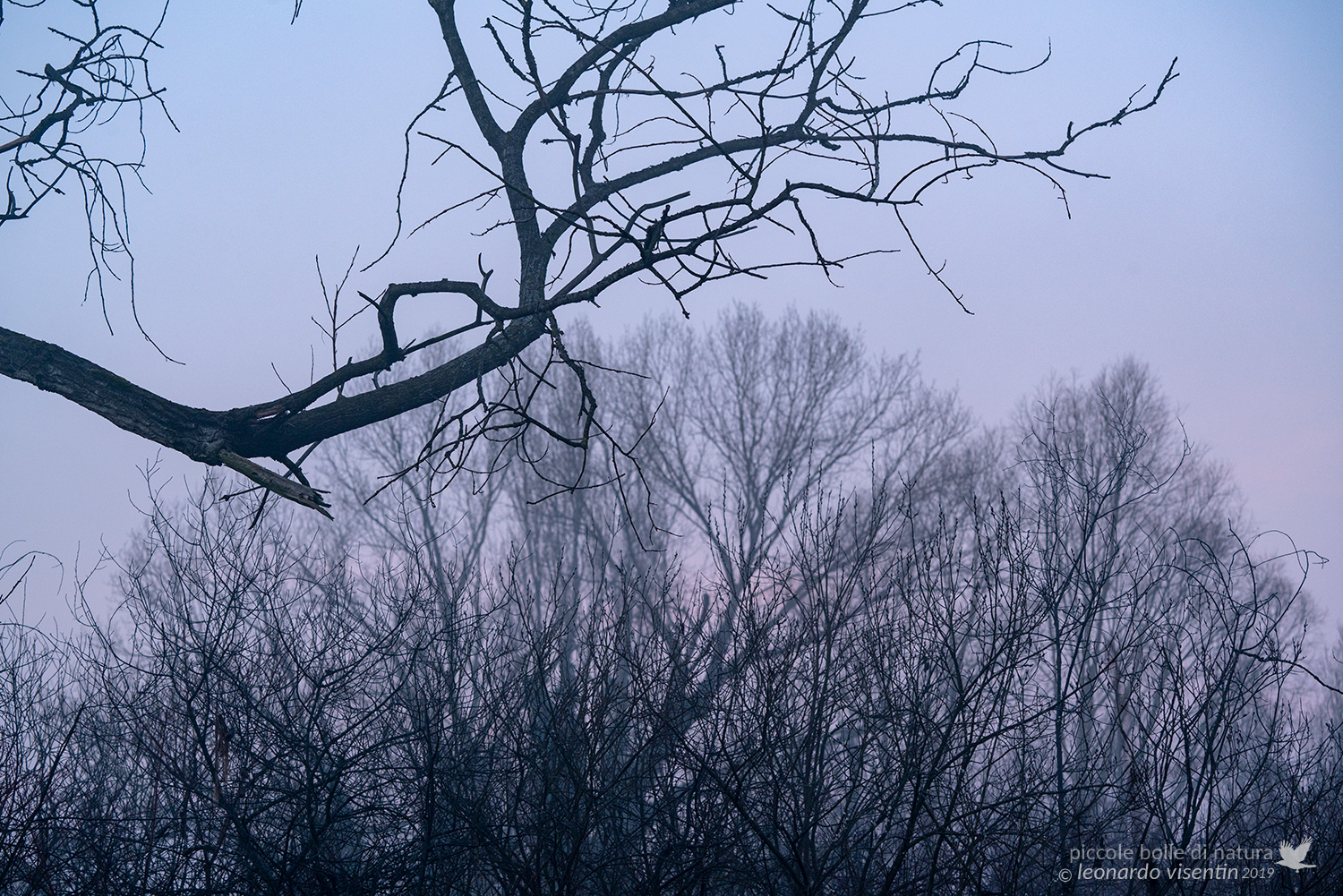 Il braccio dell'alba