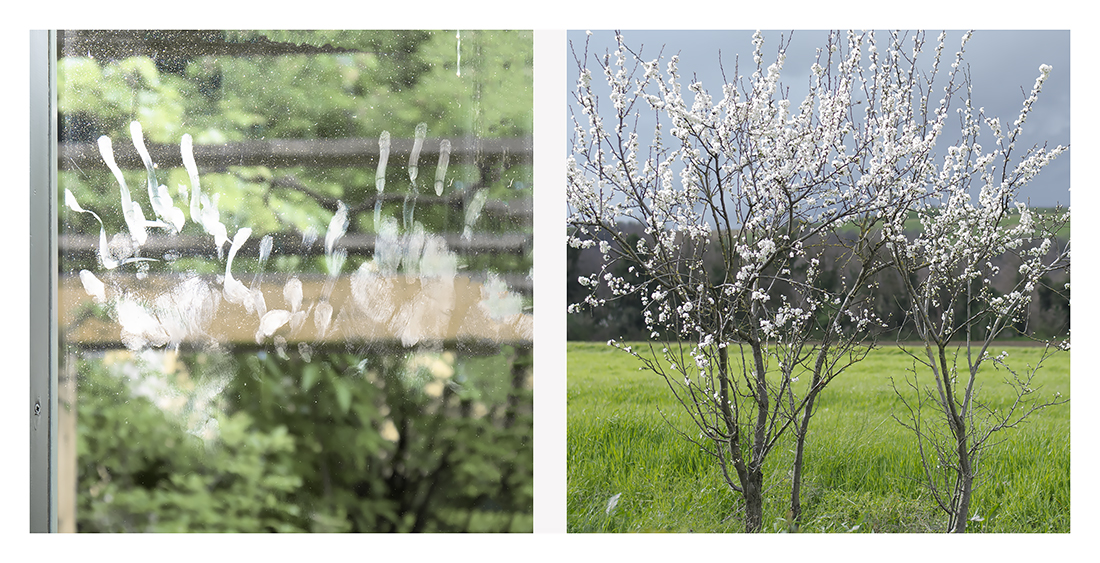 e verr� anche la primavera