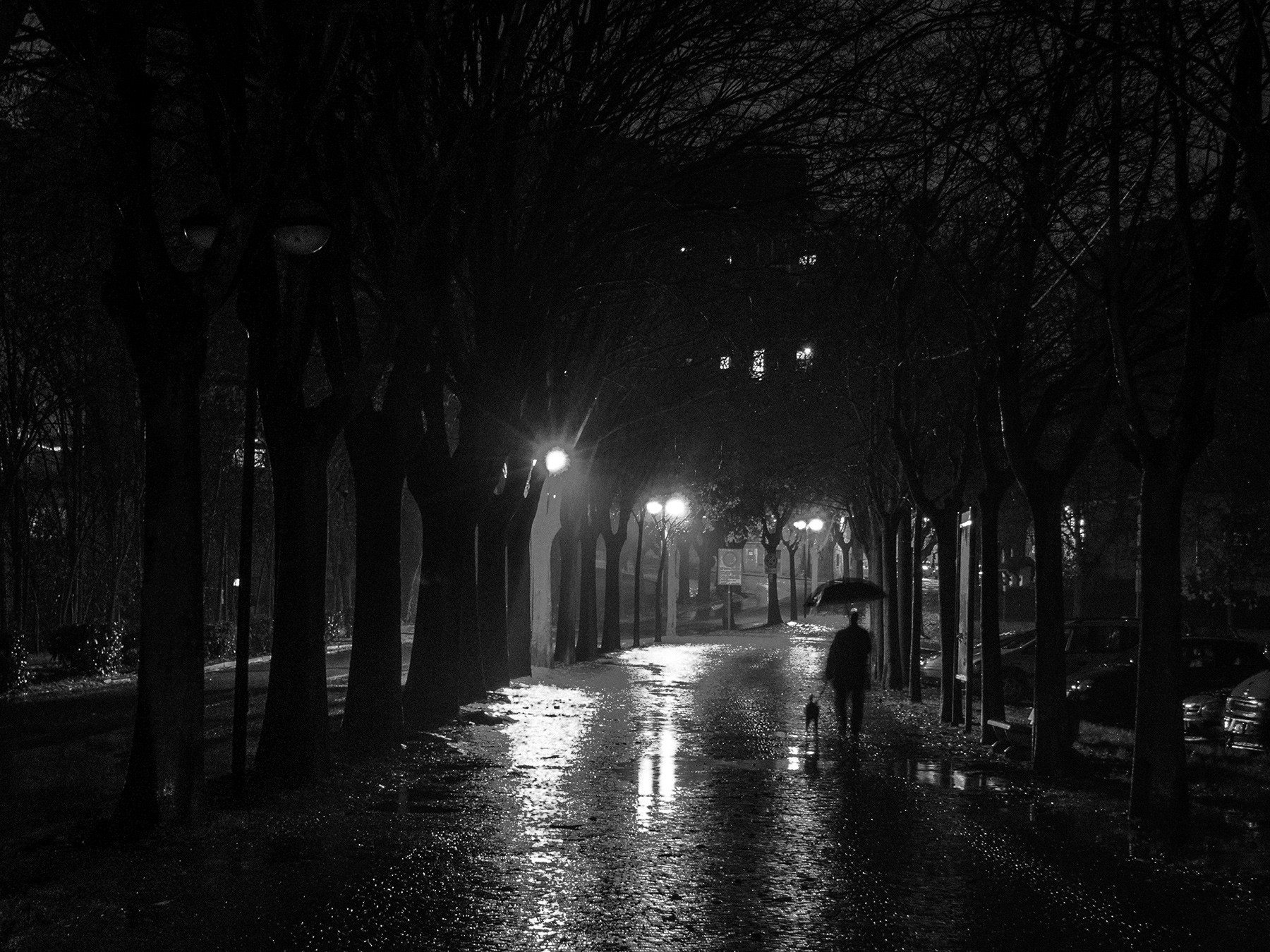 Una giornata uggiosa