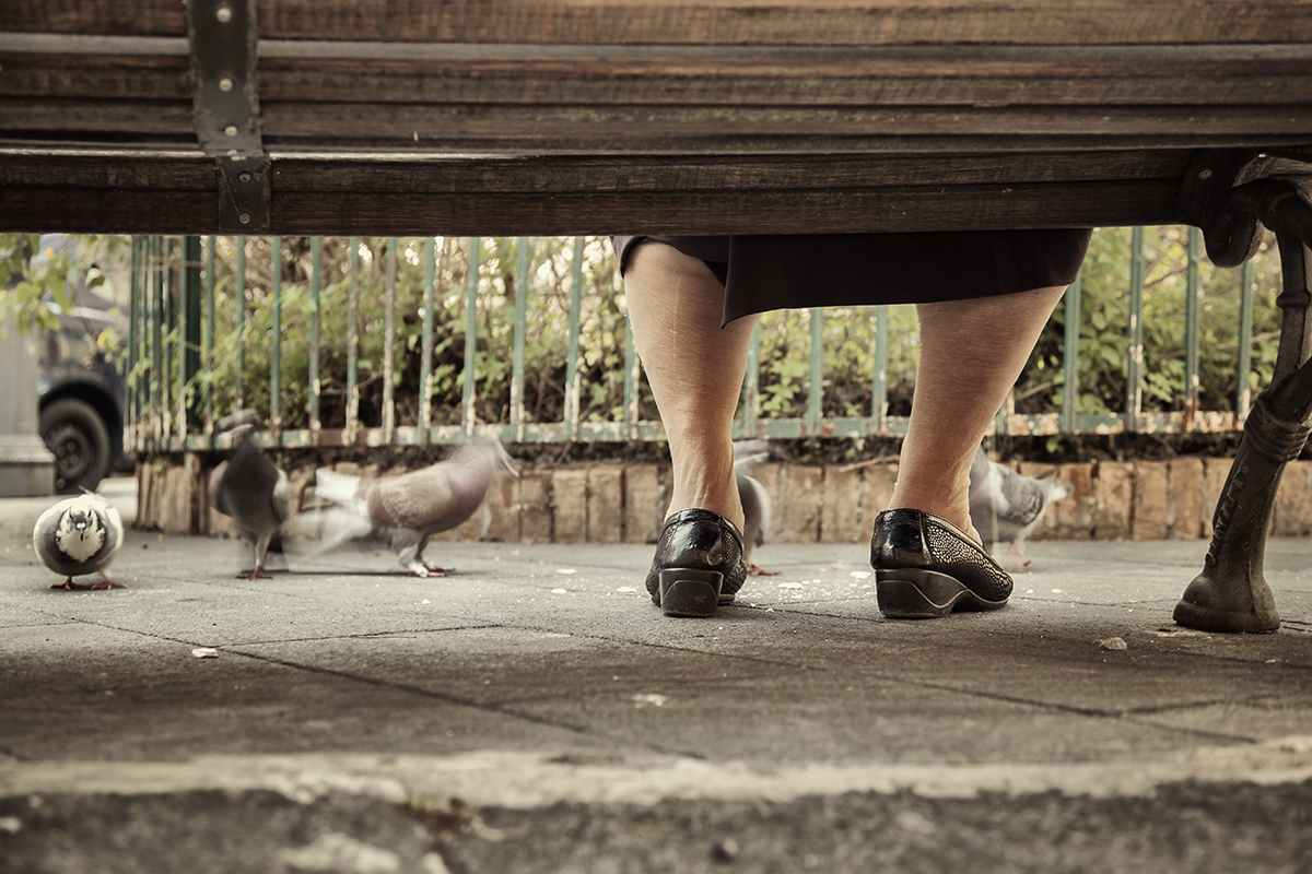 La Signora dei Piccioni