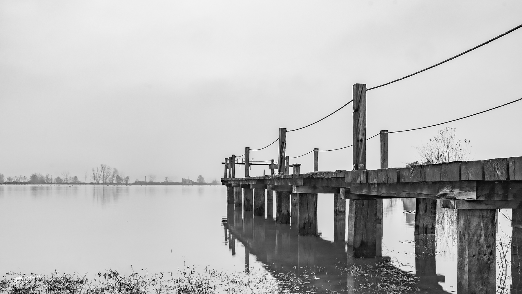 Il pontile nella palude..