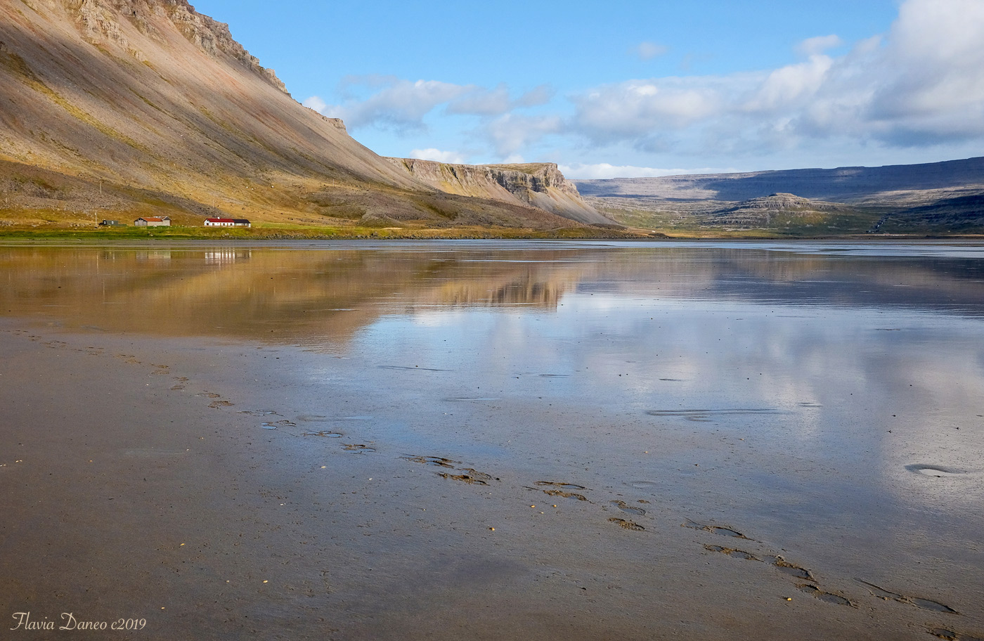 Contemplare la natura