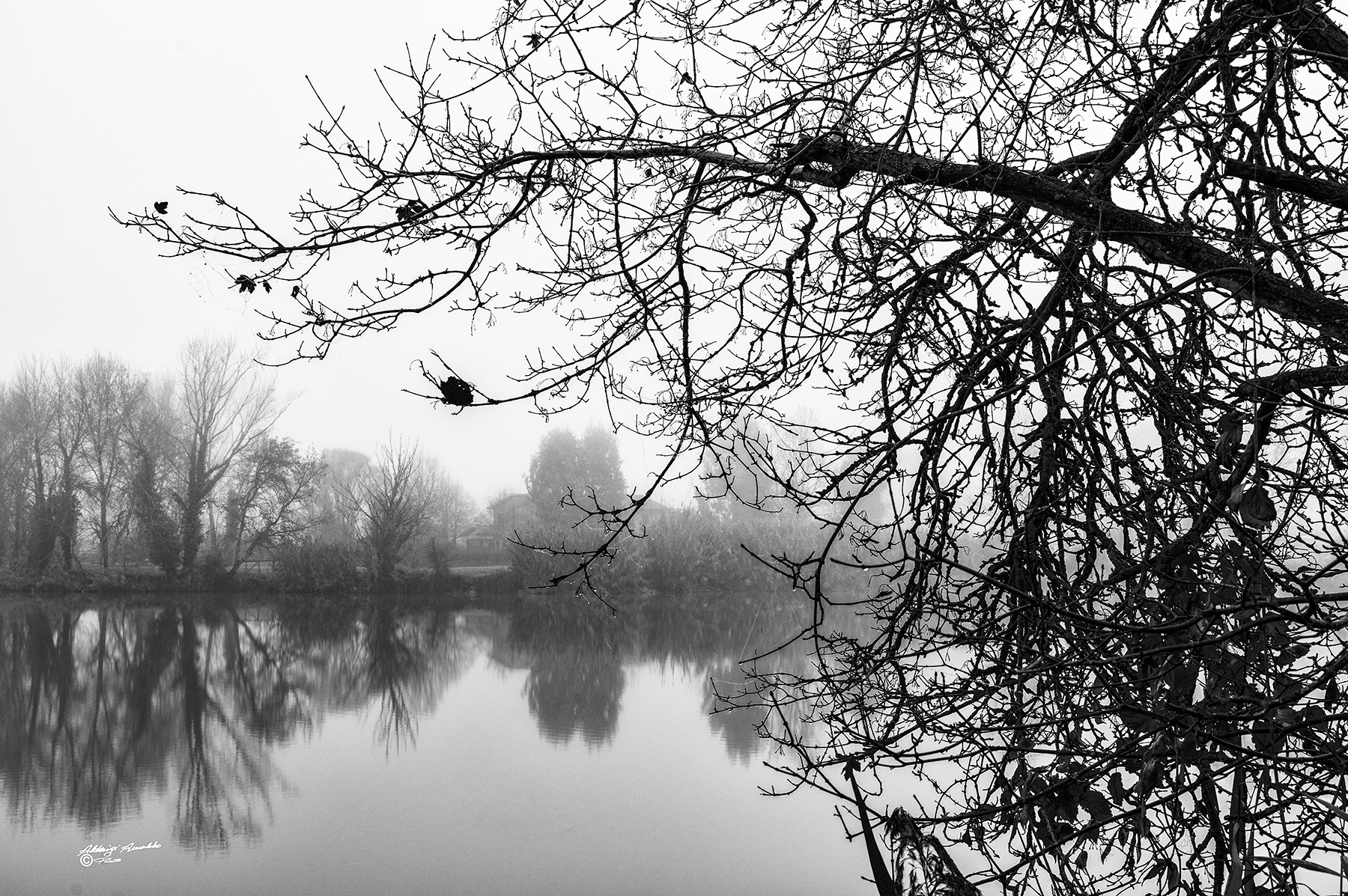 Piccole gocce di rugiada.